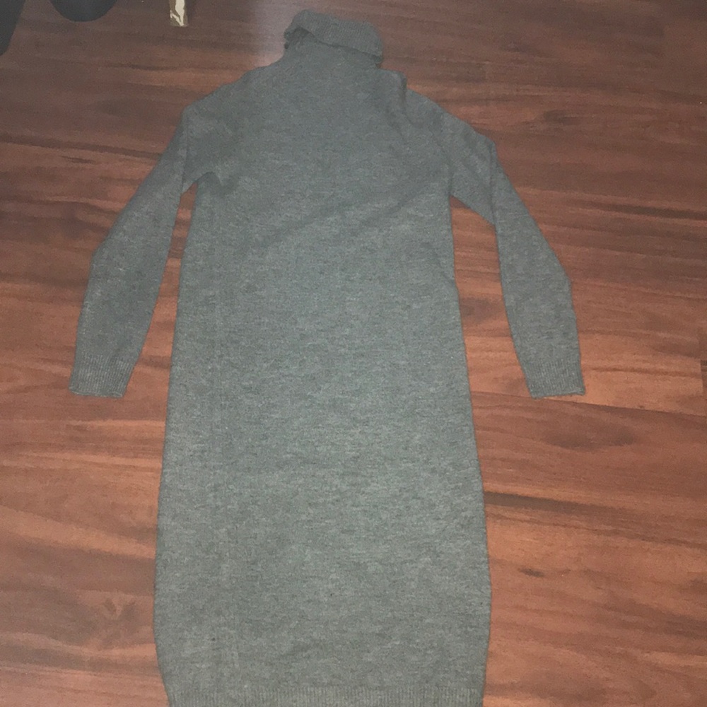 Zara turtle neck dress